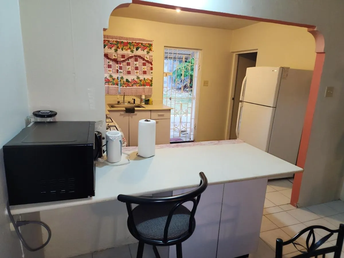 Relax And Unwind At Scenic Plateau Apartment Montego Bay