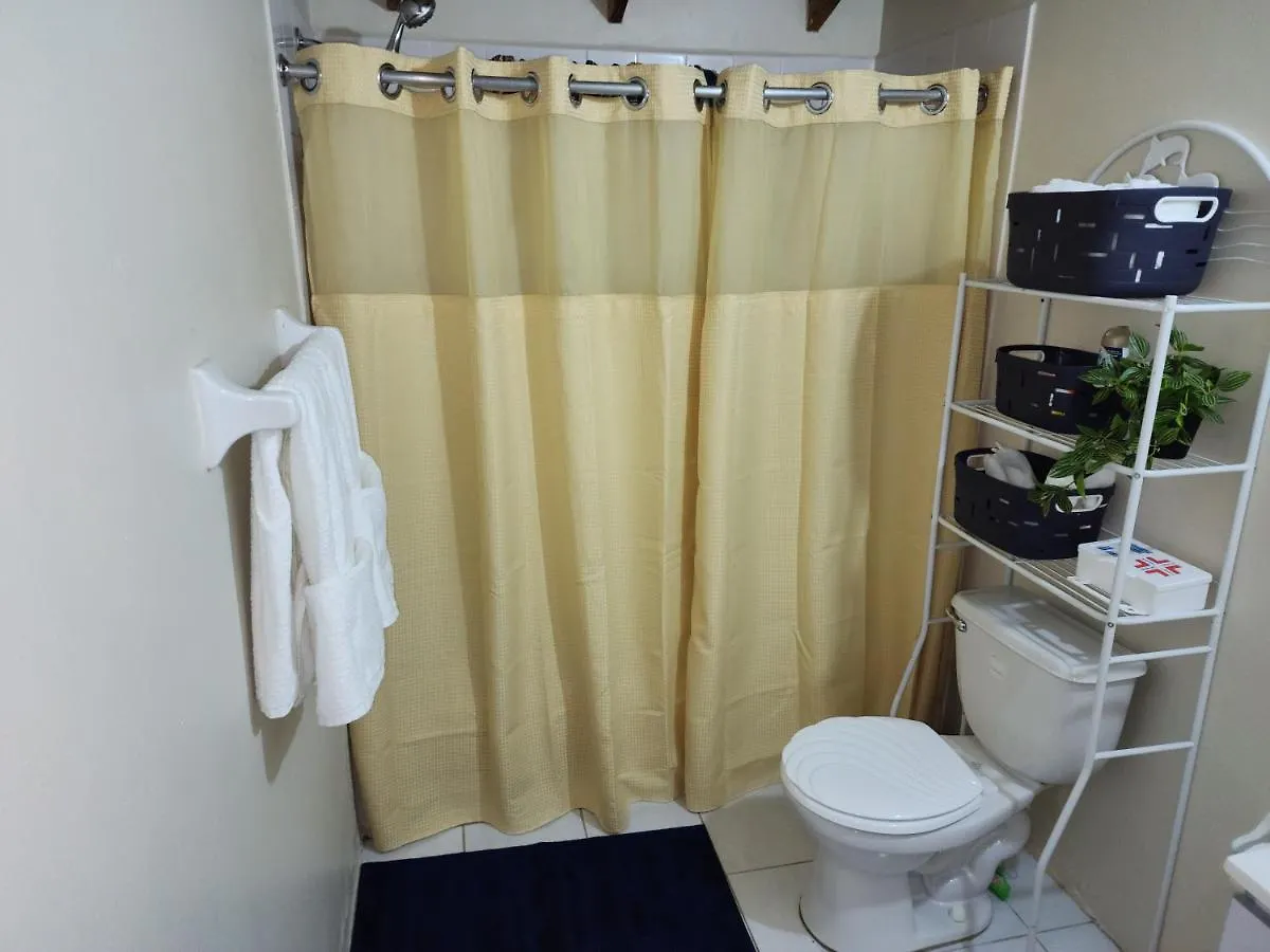 Relax And Unwind At Scenic Plateau Apartment Montego Bay