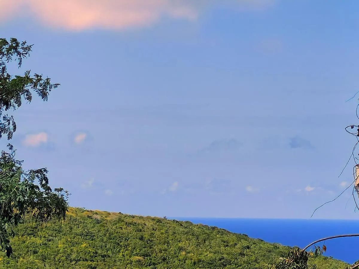 Relax And Unwind At Scenic Plateau Apartment Montego Bay
